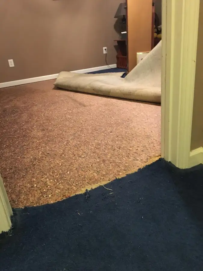 Carpet pad removal revealing water damage during Water Mitigation Services in Fishers