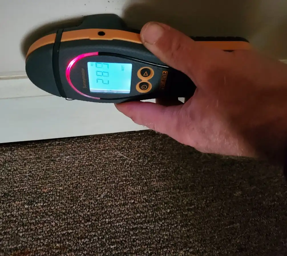 Moisture detection at baseboard during Sewage Cleanup & Sanitation in Fishers